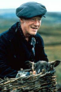 Field, The [John Hurt]